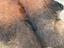 Immagine 6