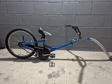 cammellino appendice bici