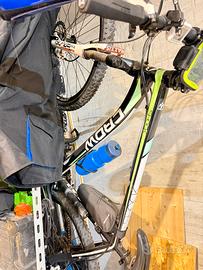 Bici ammortizzata
