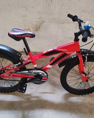 Bici bambino anni 6 
