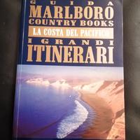 La costa del Pacificoi