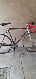 Giant cadex 