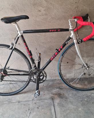 Giant cadex 