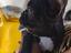 Immagine 3