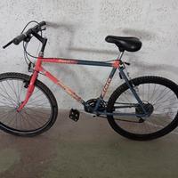 collezione biciclette