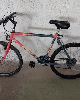 collezione biciclette