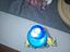 Immagine 3