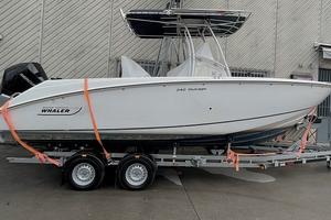 Wellcraft 222 + 225hp Yamaha (2018)
