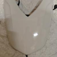 coprisella monoposto BMW F800R 