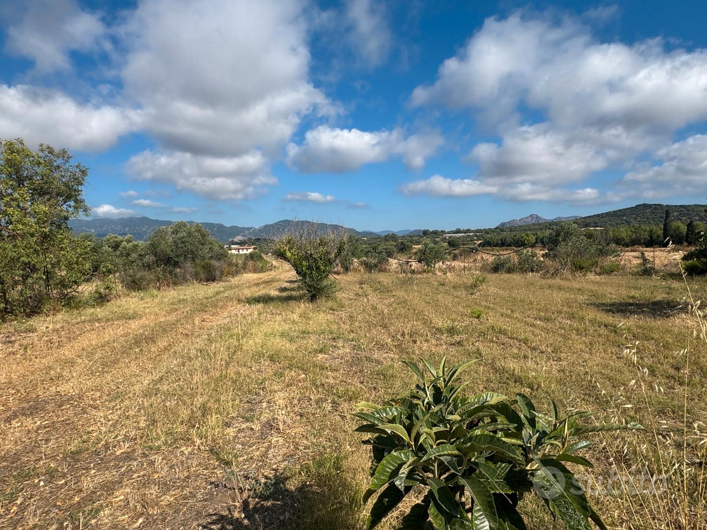 Terreno agricolo a Pula - Altro