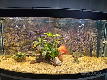   Acquario panoramico 260 litri completo di mobile