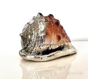 Conchiglia marina in argento laminato 925