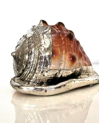 Conchiglia marina in argento laminato 925