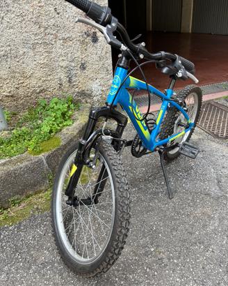 Bicicletta olmo bambini