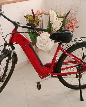 bici elettrica