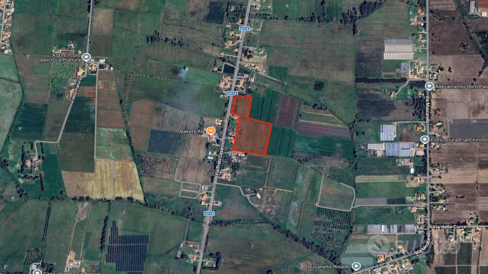 Terreno agricolo 3,5 HA ca. fronte strada | TR344 - Vista 5