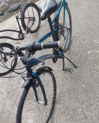 bici Nakamura