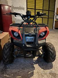 Quod elettrico Nitro 1000w