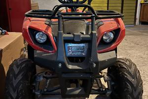 Quod elettrico Nitro 1000w