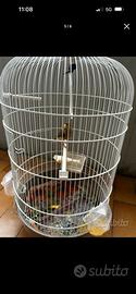 Gabbia per uccelli