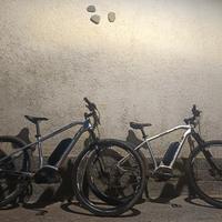 E bike Whistle motore Bosch 500