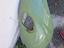 Immagine 29