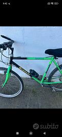 Mountain bike bianchi