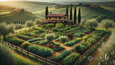 Terreno agricolo orto bbq Sesto fiorentino Firenze