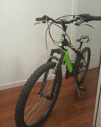 Bici ragazzo 24 pollici (9-12 anni)