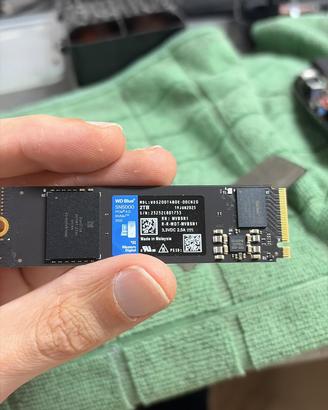 Ssd wd 2tb