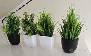 N. 4 piantine finte da interno