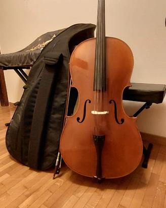 Violoncello Fenice modello C 4/4