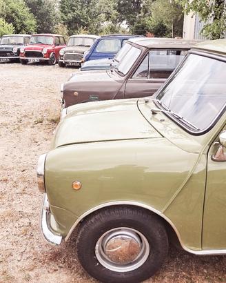 tutti pezzi di ricambi mini austin 