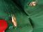 Immagine 6