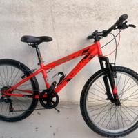 Bicicletta 24