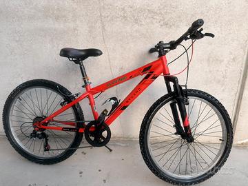 Bicicletta 24