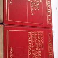 GRANDE DIZIONARIO ILLUSTRATO LINGUA ITALIANA GABRI