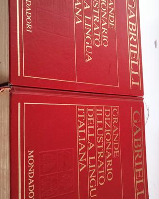 GRANDE DIZIONARIO ILLUSTRATO LINGUA ITALIANA GABRI