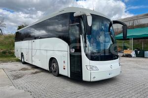 Irisbus New Domino