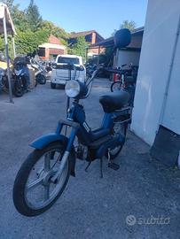 Piaggio SI FL (SRVV1T)