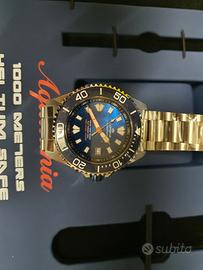 Lorenz AQUITANIA

SKU: 030231MM

