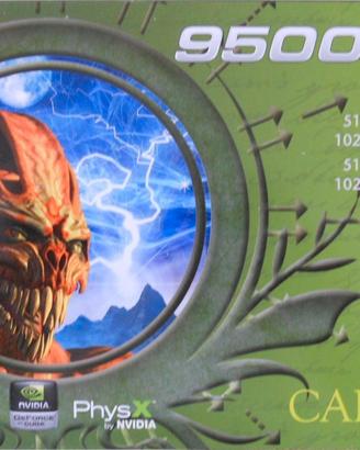 Scheda video geforce captiva 9500gt 1gb ddr2