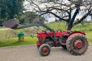 Massey Ferguson 155...