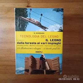 Tecnologia del legno, Guglielmo Giordano