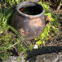 Vecchia giara x arredo giardino