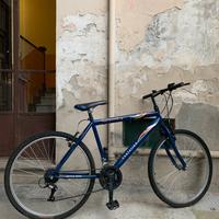 Bicicletta