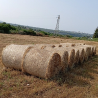 Fieno in balloni