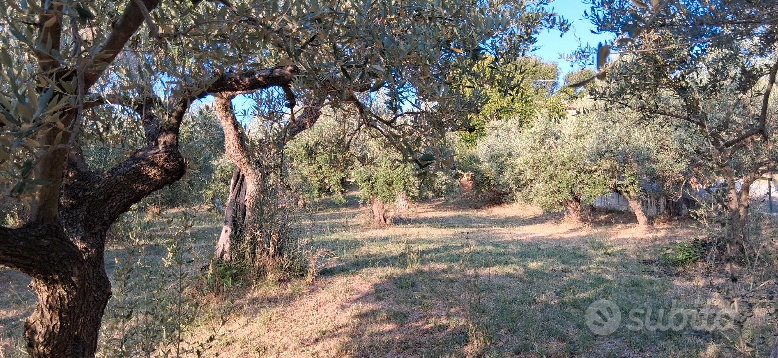 Il terreno per la tua nuova villetta nel cuore del - Vista 4