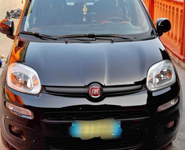 Fiat panda lounge