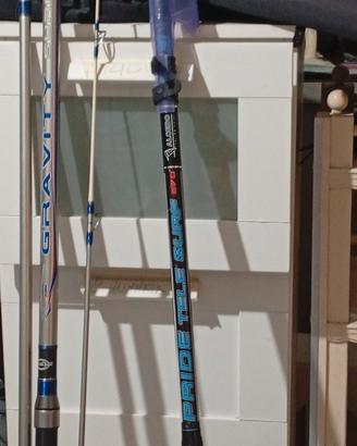  canne da pesca per surf casting